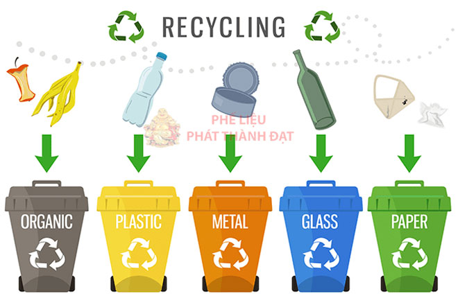 Rác hữu cơ, rác vô cơ và rác tái chế là gì?